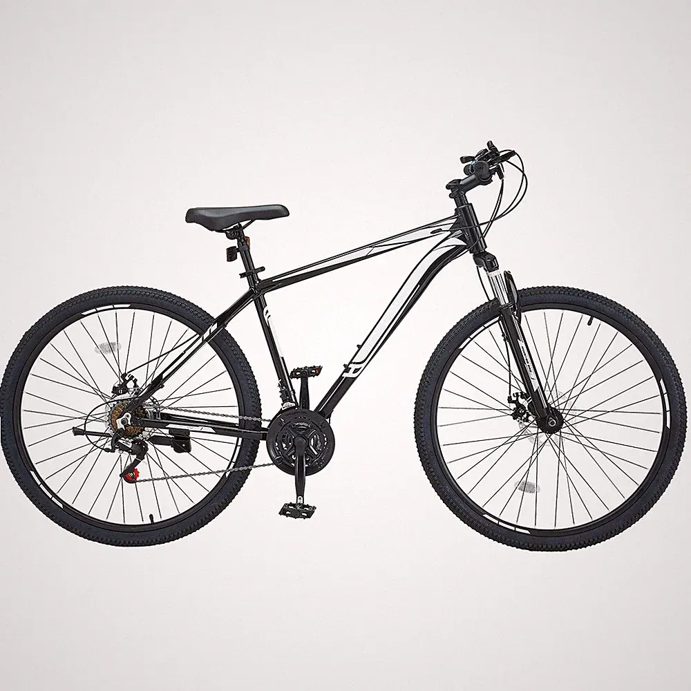 29-Inch Mountain Bike with Front Suspension & 21 Speed Shimano Shifting