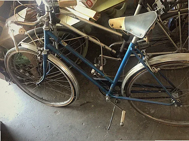 Antique Ross Euro tour Girls Bike