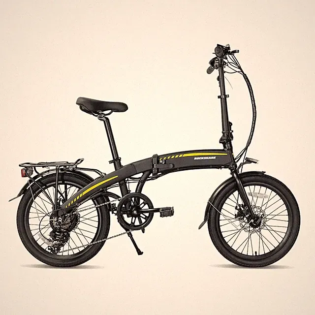 Bicycle Electric Bike 20 Inch 250W Motor Folding City Bike