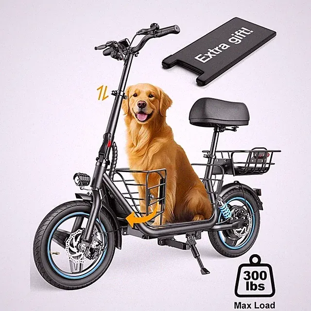 E Bike