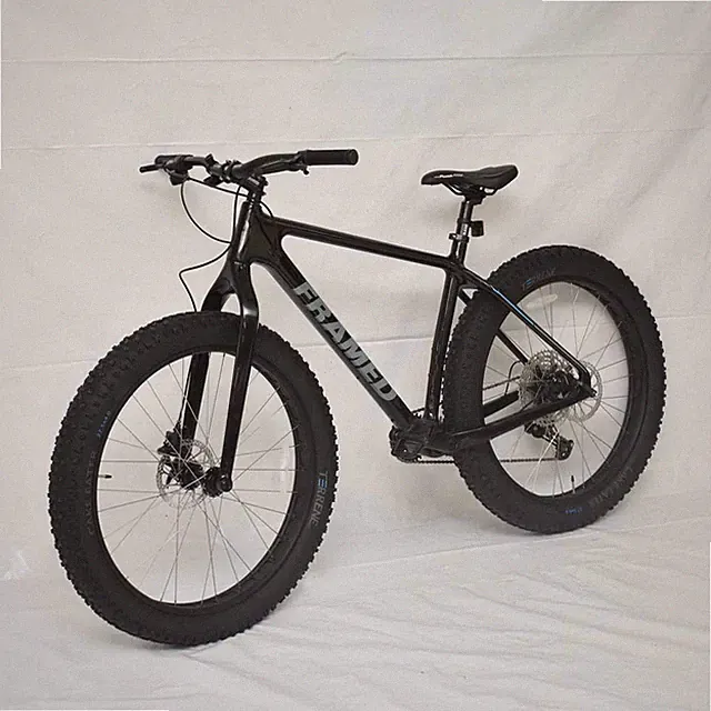 Framed Alaskan Carbon Fat Bike 20 Inch 12 Speed w/ Cake Eater Tires