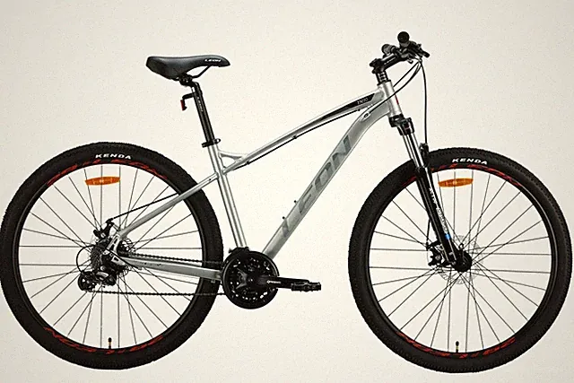 Mountain Bike Hardtail MTB 29 " Aluminium Disc Brake Silver Fh 18 1/8in Bicycle