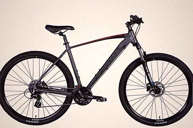 Mountain Bike Hardtail MTB 29 " Aluminium Disc Brakes Grey Fh 20 7/8in Bicycle