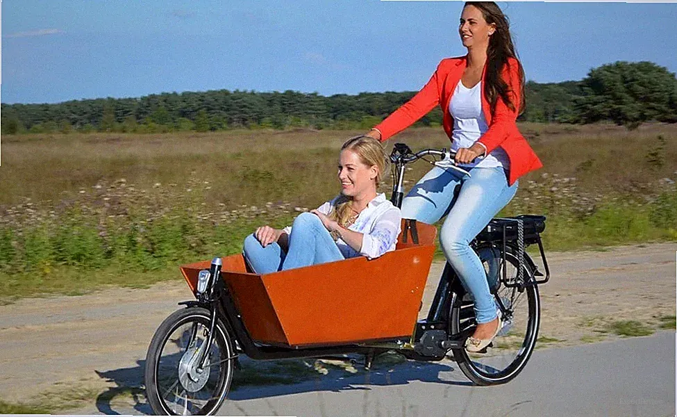 EUROBIKE Cargo Bike